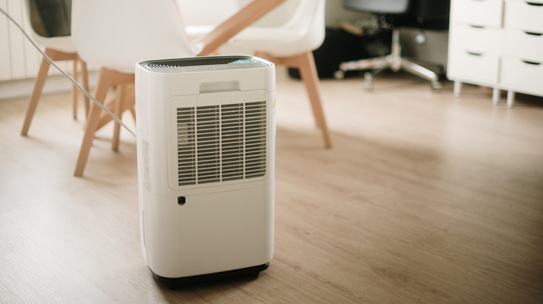 A portable dehumidifier inside a home