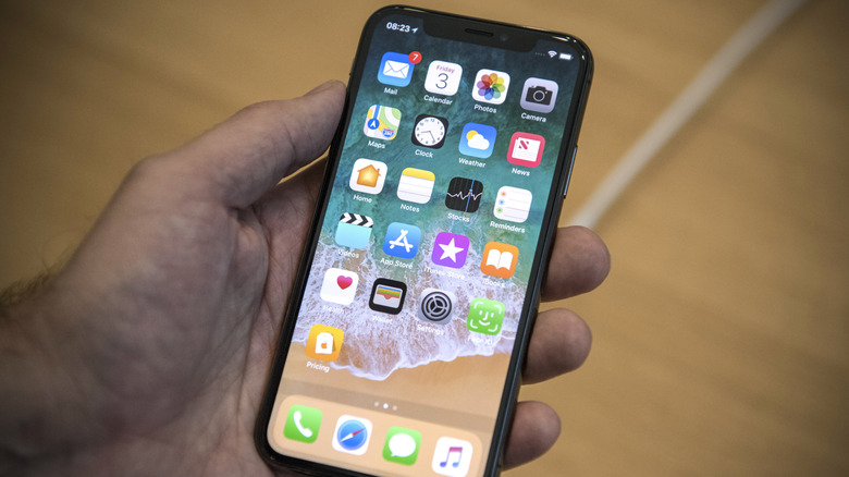 Close-up of a hand holding an iPhone X against a blurred background.