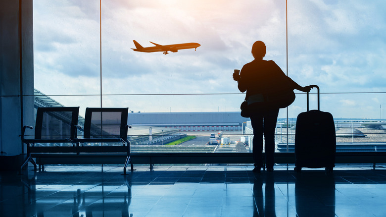 a person with their luggage at an airport watching a plane