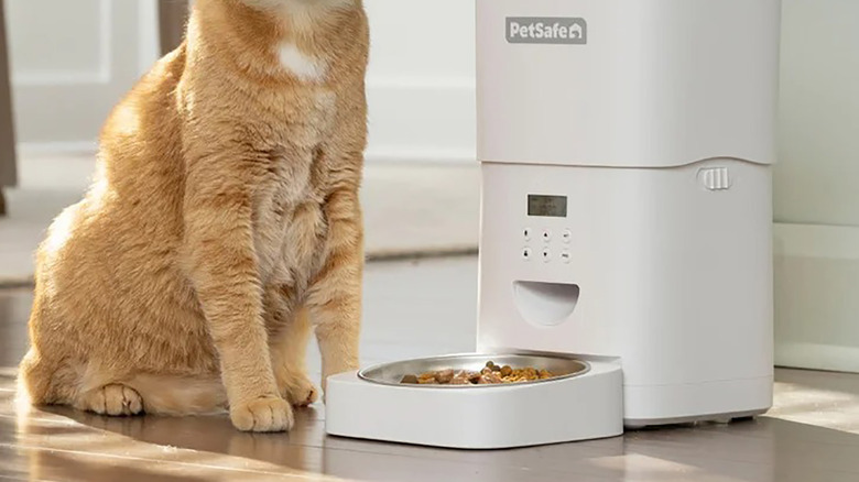 The legs of a cat beside the PetSafe FlexFeed automatic pet feeder.