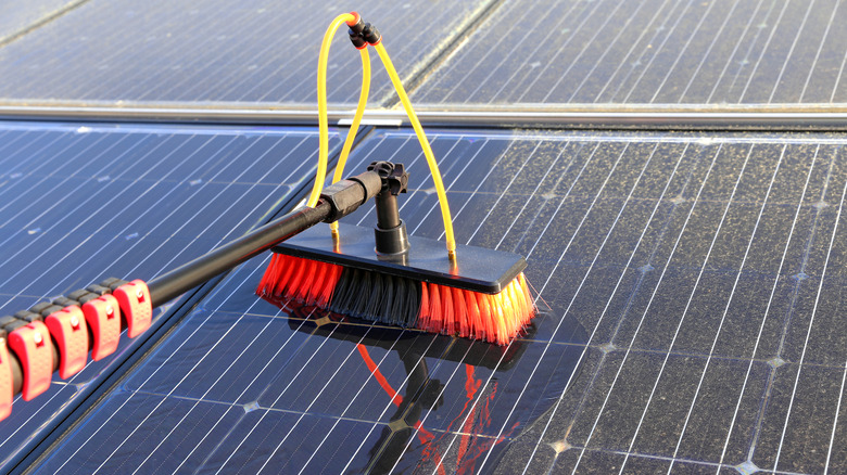 Close-up of a cleaning brush and water pipe being used to clean dirty solar panel