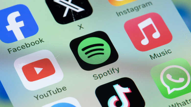 Spotify icon on the iPhone Home Screen