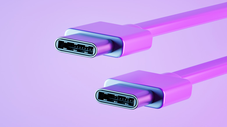 A pair of USB-C plugs.