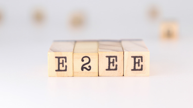 E2EE acronym written on cubes