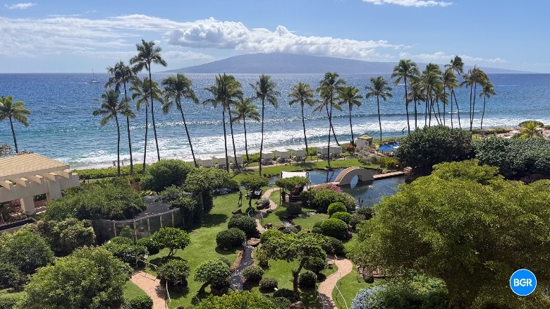 A photo of palm trees and the beach captured by the iPhone 17 Pro Max