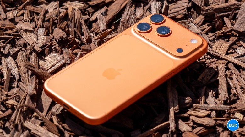 iPhone 17 Pro Max elevated above some wood chips