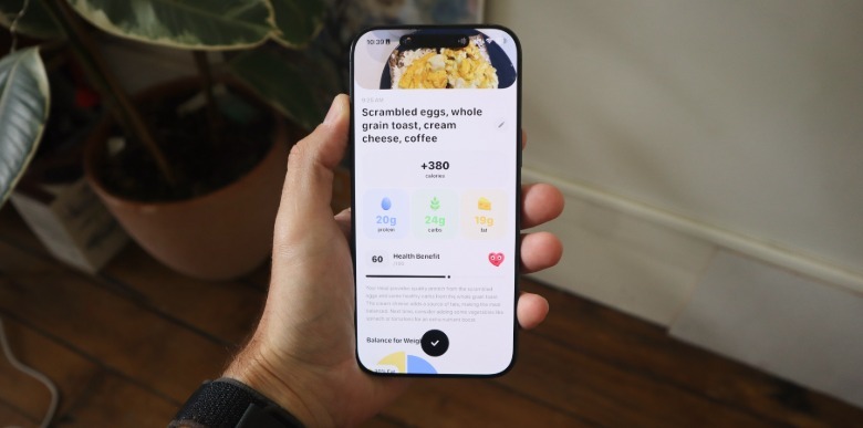 Foodllama screen showing the insights of the meal I added