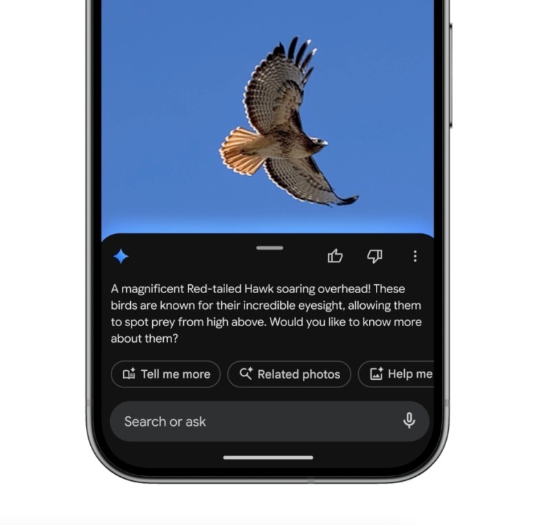 The new Ask Photos features in Google Photos.