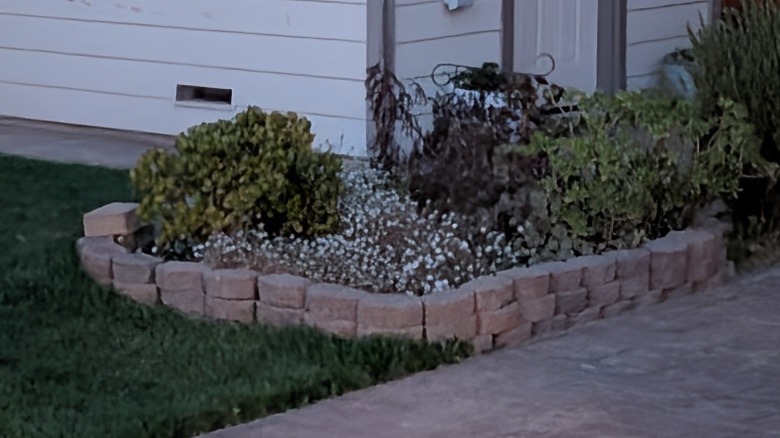 Pixel 10 camera zoomed to 5x